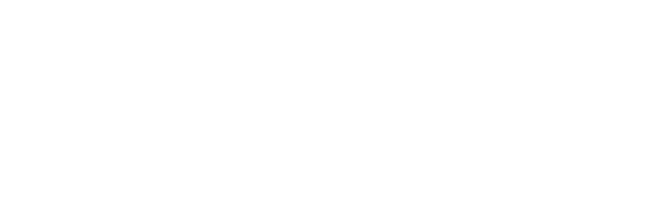 Alliance of Media Independents